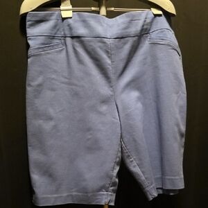 Croft & Barrow Blue Women's Shorts